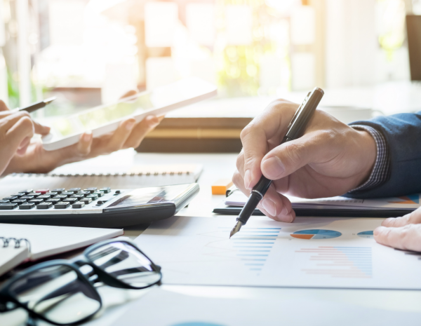 Mali Denetim, Danışmanlık ve Yeminli Mali Müşavirlik Hizmetleri